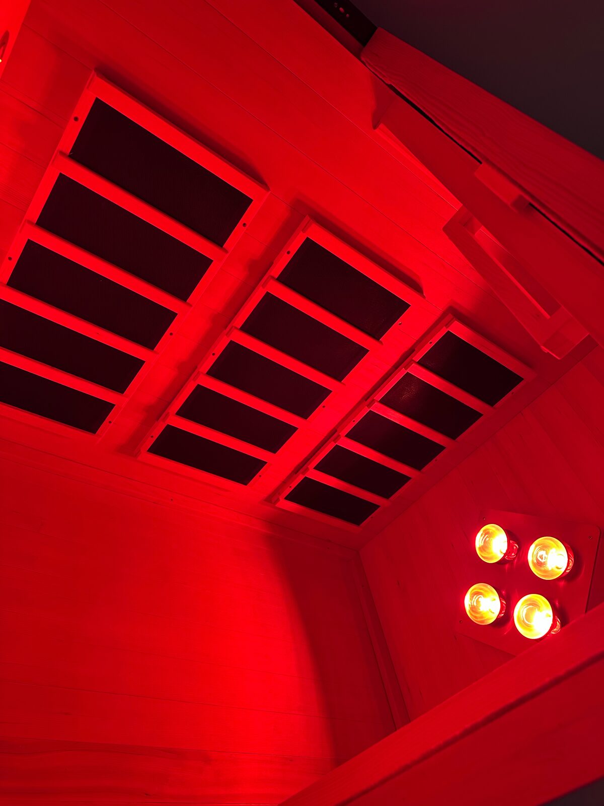 Red light therapy panels and heat lamps inside the Hiptwist infrared sauna